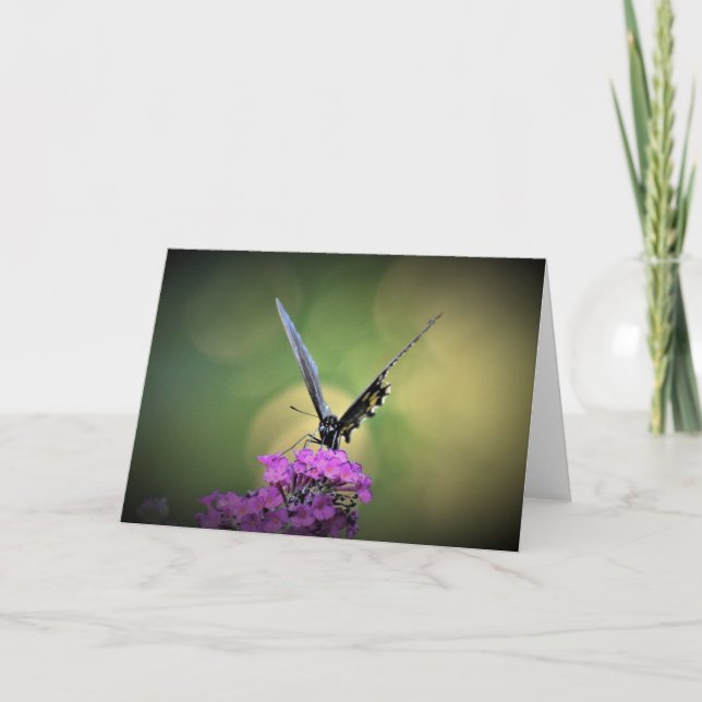 Borboleta, cartão (Frente)