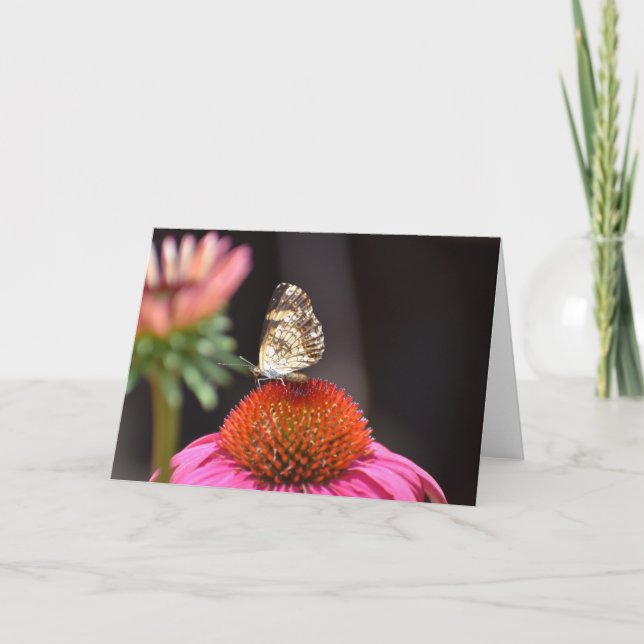 Borboleta, cartão (Frente)