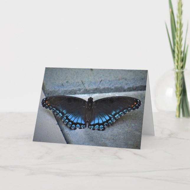 Borboleta, cartão (Frente)