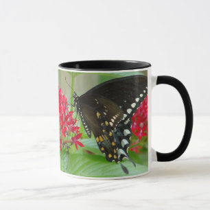 Borboleta com a caneca vermelha das flores
