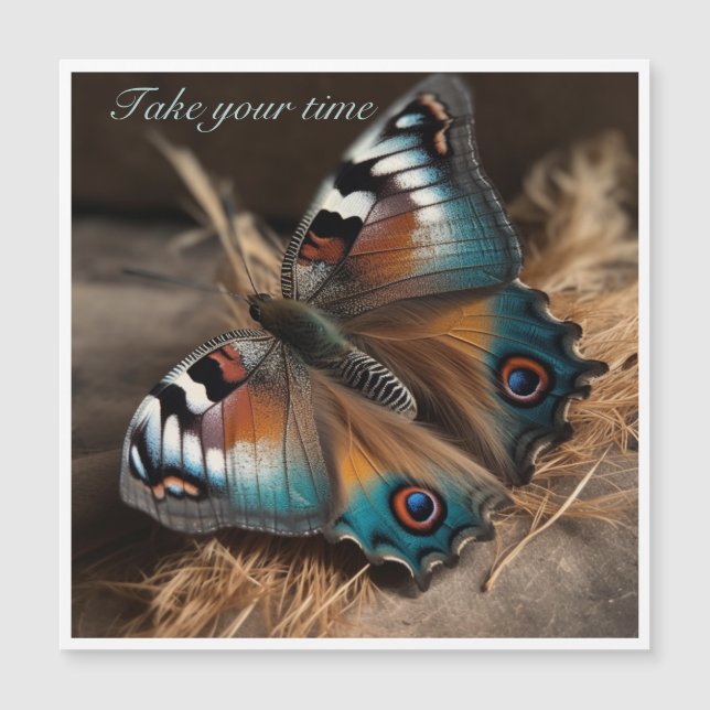 Borboleta com design de zebra (Frente)