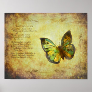 Borboleta com impressão das canvas do poema