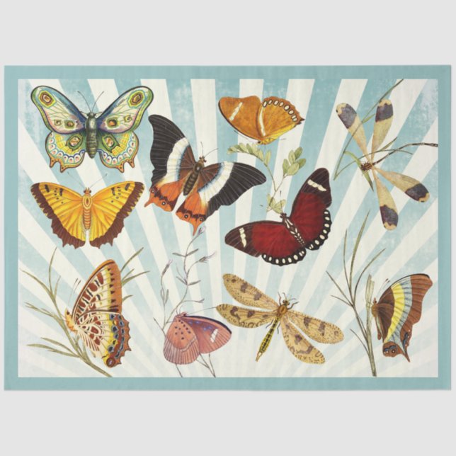 borboleta cortada e papel de tecidos de colagem (Frente )