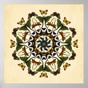 Borboleta da Terra Asa Caleidoscópio Poster de Art