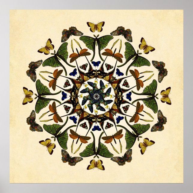 Borboleta da Terra Asa Caleidoscópio Poster de Art (Frente)
