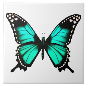 borboleta de cores vibrantes