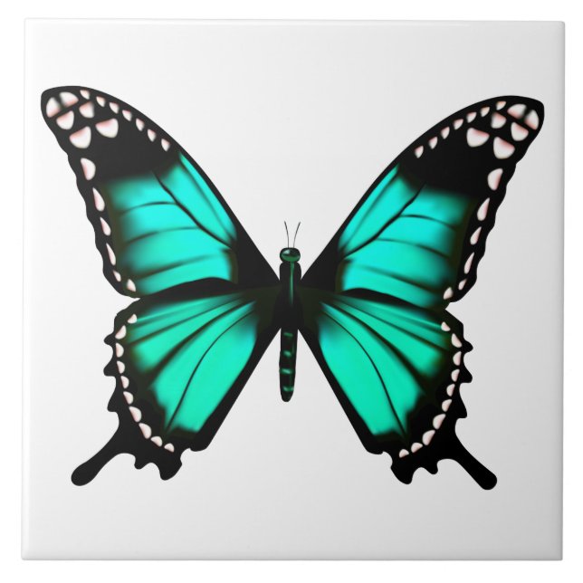 borboleta de cores vibrantes (Frente)
