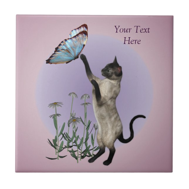 Borboleta De Gato Siamês E Disias (Frente)