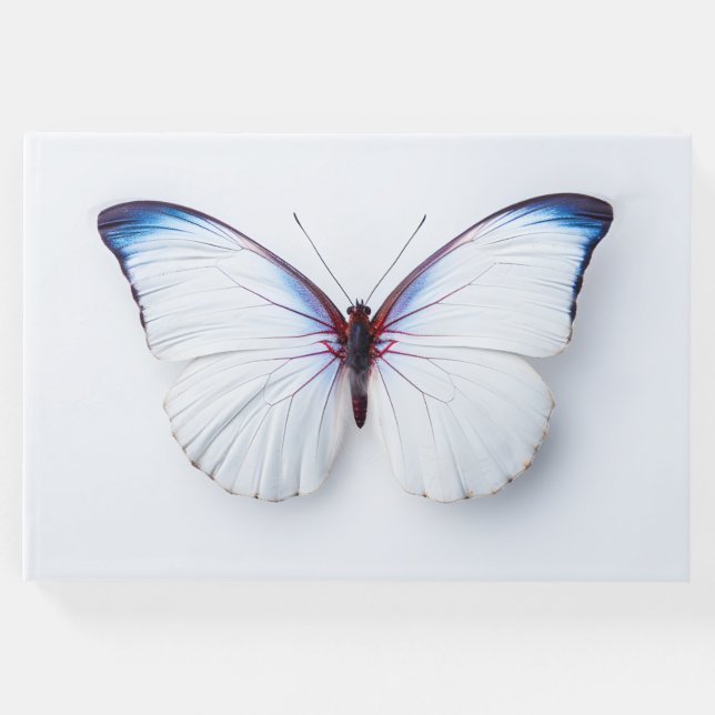 Borboleta de livros de hóspedes funerários (Frente)