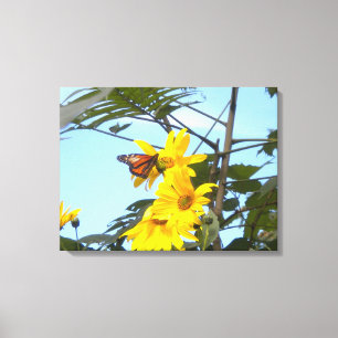Borboleta de monarca em canvas do girassol