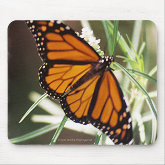 Borboleta de monarca Mousepad