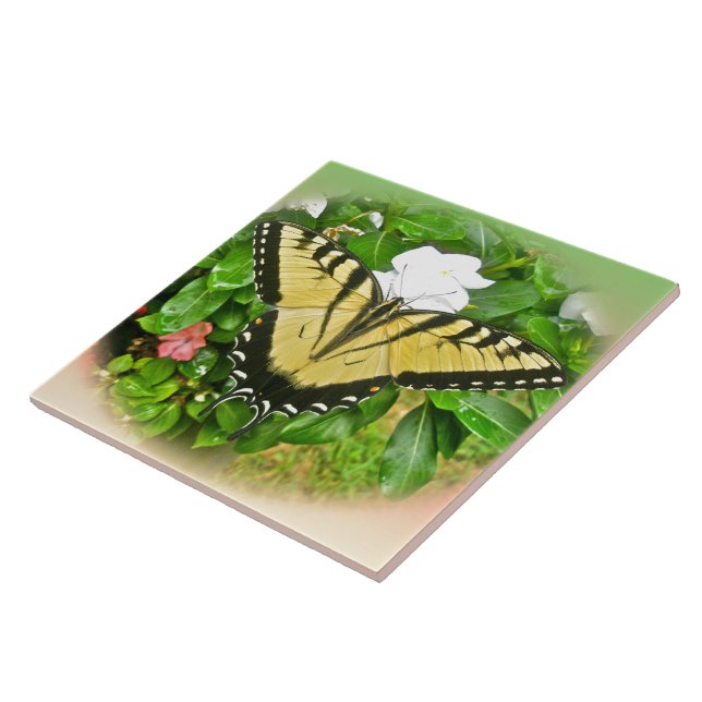 Borboleta-delta - Flores (Lateral)