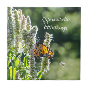 Borboleta e Azulejo de abelhas