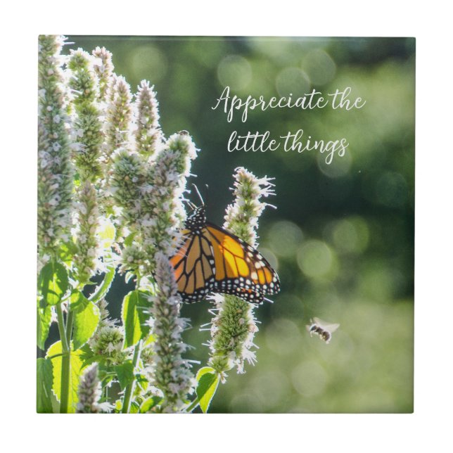 Borboleta e Azulejo de abelhas (Frente)
