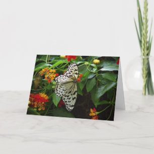 Borboleta e Flores - Cartão de Saudação Hi/Hello