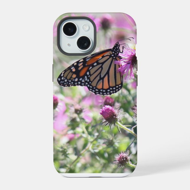 Borboleta e Flores de Prados (Verso)
