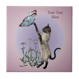 Borboleta e margaridas do gato Siamese