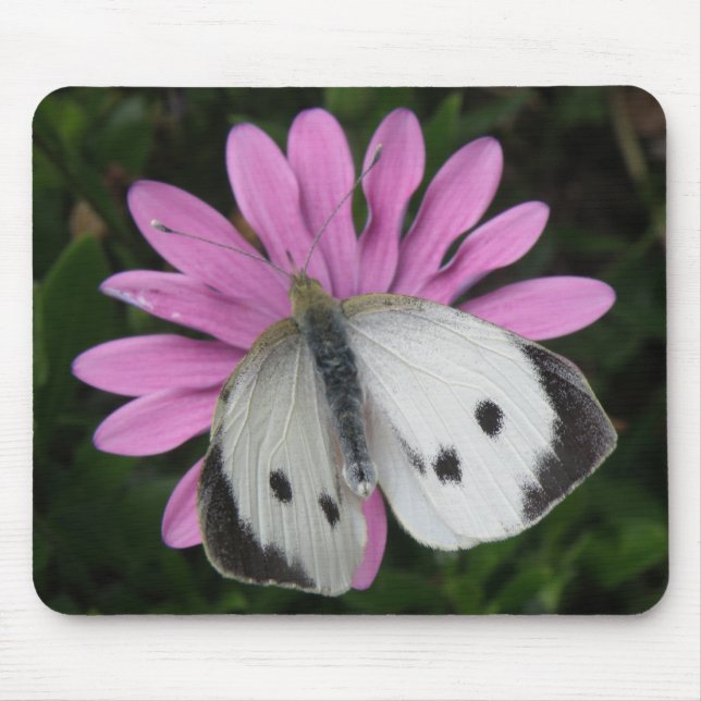 Borboleta e Mousepad Flor Rosa (Frente)