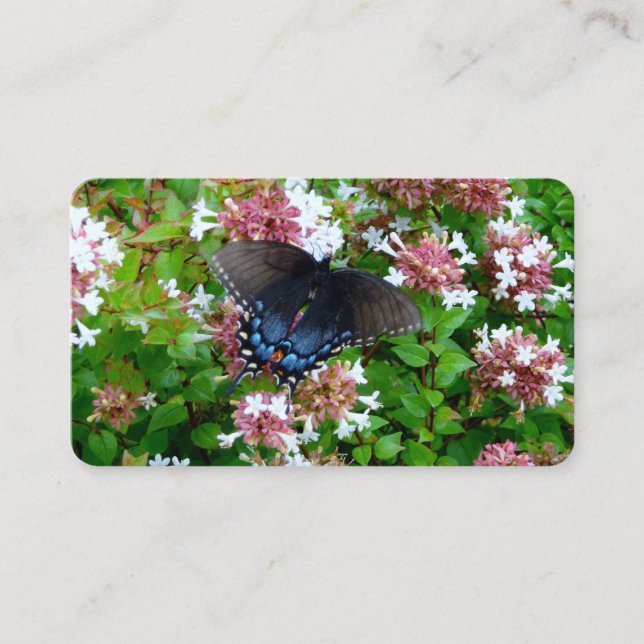 Borboleta em Cartões de visitas (Frente)