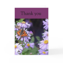 Borboleta Em Descanso Nas Flores Graças Ao Cartão