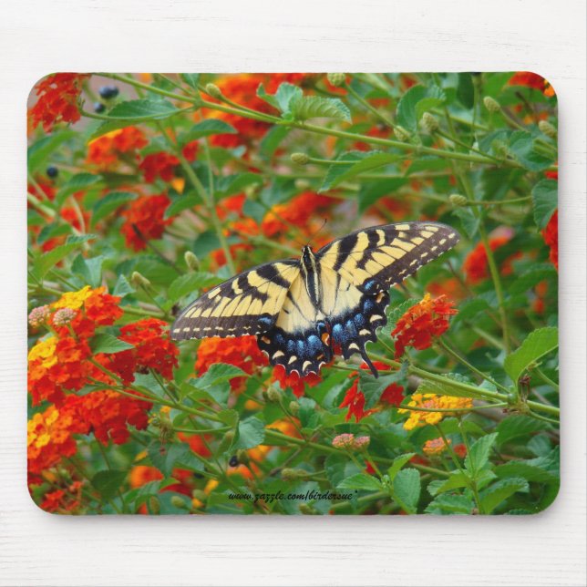 Borboleta entre o Lantana Mousepads (Frente)