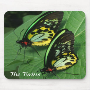 Borboleta gêmea Mousepad
