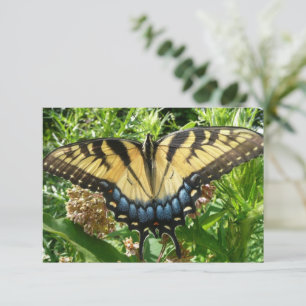 Borboleta II de Swallowtail em Shenandoah