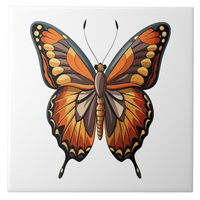 Borboleta ilustrada (Frente)
