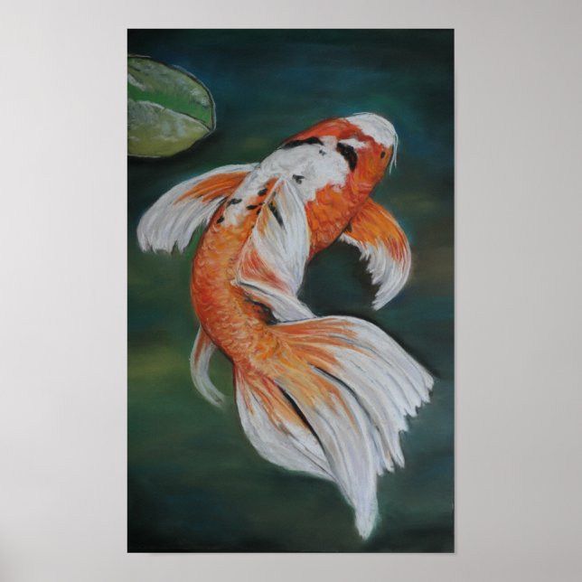 Borboleta Koi Fish Poster (Frente)