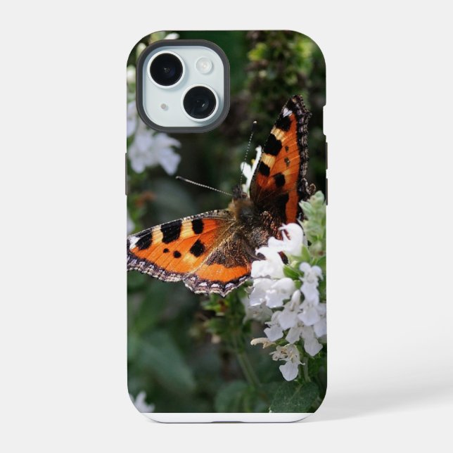 Borboleta Laranja e Flores Brancas (Verso)