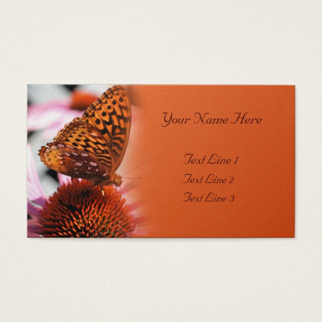 Borboleta Laranja Na Natureza Da Flor (Frente)