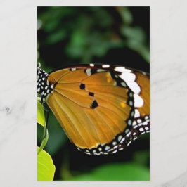 Borboleta laranja, preta e branca na folha