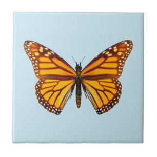 Borboleta Monarca