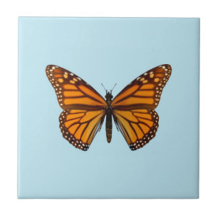 Borboleta Monarca