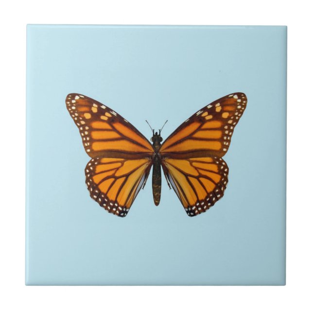 Borboleta Monarca (Frente)