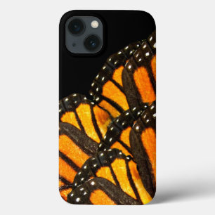 borboleta monarca asa asa asa foto-arte cor de lar