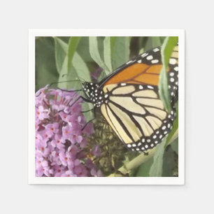 Borboleta monarca de guardanapos de flores silvest