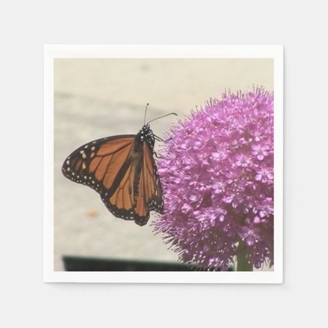 Borboleta monarca e guardanapos de flores de cebol (Frente)