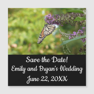 Borboleta Monarca em Borboleta Roxa Bush