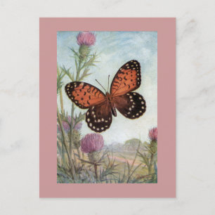 Borboleta Monarca em Cartão Postal de Trevo Roxo