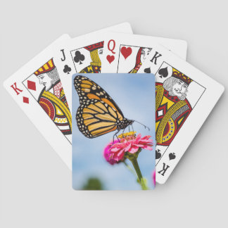 Borboleta monarca em cartas de baralho