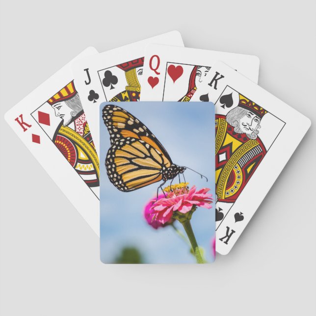 Borboleta monarca em cartas de baralho (Verso)