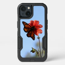 Borboleta Monarca em Dahlia