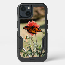 Borboleta Monarca em Dahlia