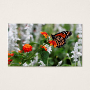 Borboleta Monarca em Laranja e Lantana Vermelha
