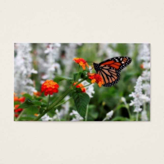 Borboleta Monarca em Laranja e Lantana Vermelha (Frente)
