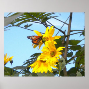 Borboleta Monarca Sobre Poster de Girassóis