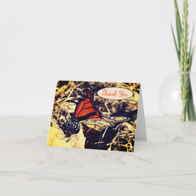 Borboleta Monarch Possuindo Cartões de agradecimen (Frente)