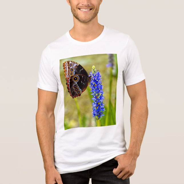Borboleta morfo azul em uma t-shirt de pântano (Frente)