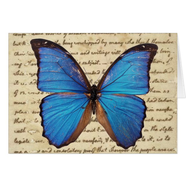 Borboleta Morpho no Cartão de Nota de Manuscrito V (Frente horizontal)